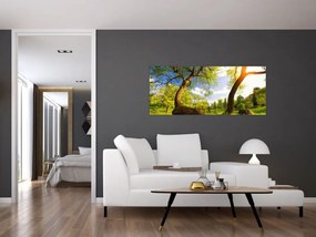 Obraz jarnej lúky (120x50 cm)