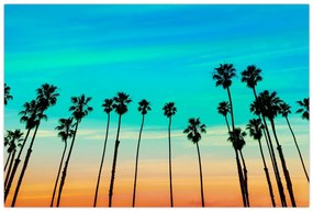 Obraz - Kalifornia (90x60 cm)