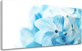 Obraz na stenu Panoráma KVETY XOBKV127E13 - 60x120 cm