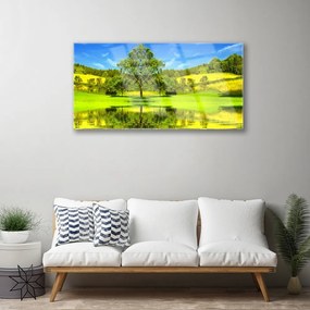 Skleneny obraz Lúka strom príroda 125x50 cm