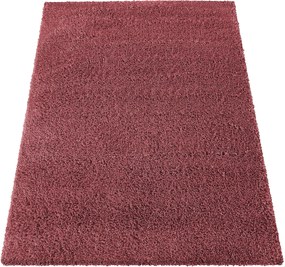 DY Santo Červený koberec Rozmer: 160x230 cm