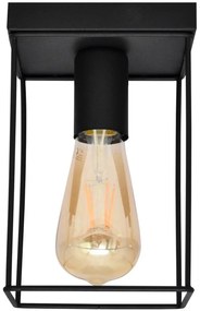 Stropné svietidlo FINN 1xE27/15W/230V čierna