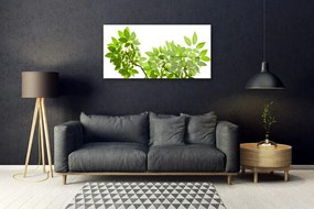 Obraz plexi Vetva listy rastlina príroda 100x50 cm