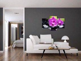 Obraz - Orchidey (90x60 cm)