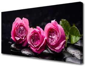 Obraz Canvas Ruže kamene zen kúpele príroda 125x50 cm
