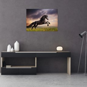 Sklenený obraz - Kone (70x50 cm)
