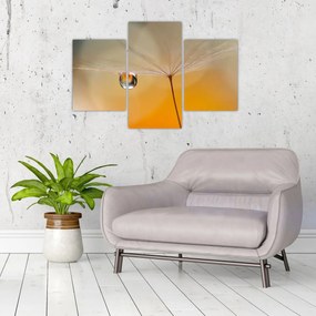 Obraz - Makro kvetu (90x60 cm)