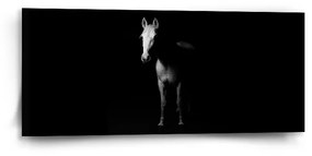 Sablio Obraz Kôň v tieni - 110x50 cm