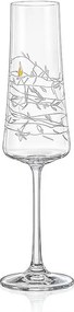 Crystalex GARDEN poháre na sekt 210 ml, 2 ks
