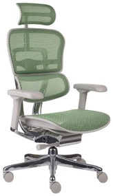 Grospol - Kancelárske kreslo Ergohuman 2 Elite GS Green