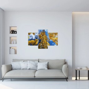 Obraz - Aspen (90x60 cm)