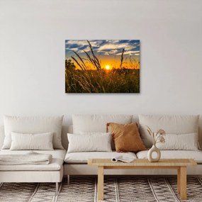 Obraz pole pri západe slnka (70x50 cm)
