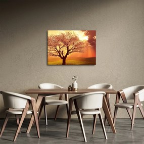 Obraz lúčov Boha (70x50 cm)