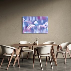 Obraz - Motýle v zime (90x60 cm)