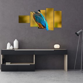 Obraz - farebný vták