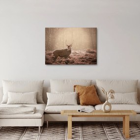 Obraz - Jeleň v lese (70x50 cm)