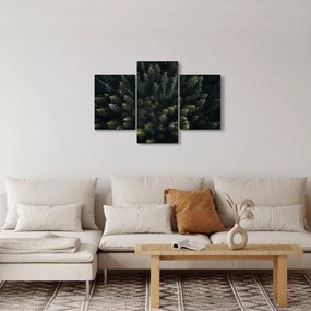 Obraz - Les (90x60 cm)