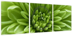Obraz - Makro snímka rastliny (s hodinami) (90x30 cm)