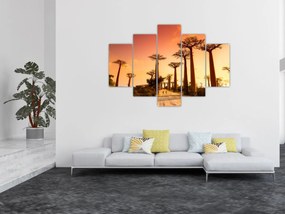 Obraz - Západ slnka v uličke Baobab (150x105 cm)