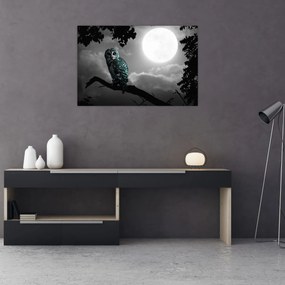 Obraz - Nočná sova, modrá (90x60 cm)