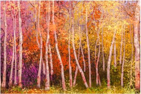 Obraz farebného lesa (90x60 cm)