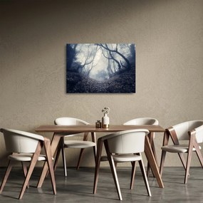 Sklenený obraz - Les v hmle (70x50 cm)