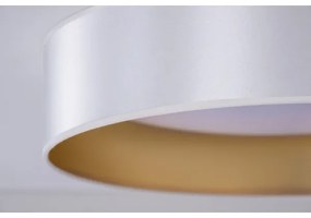 Duolla - LED Stropné svietidlo ROLLER LED/24W/230V pr. 45 cm strieborná/zlatá