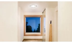 Steinel 052539 - LED Stropné svietidlo so senzorom LED/9,5W/230V