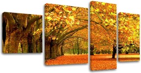 Obraz na plátne STROMY