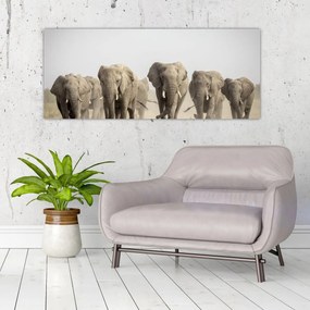 Obraz - Slonie stádo (120x50 cm)