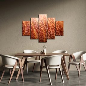 Obraz - Detail textúry (150x105 cm)