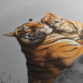 Obraz - Tigrice a jej mláďa, čiernobiely variant (120x50 cm)