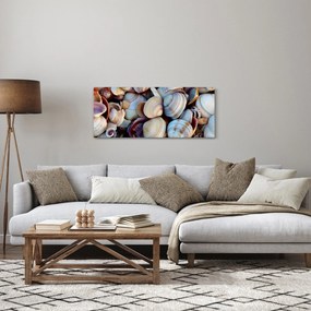 Obraz mušlí (120x50 cm)