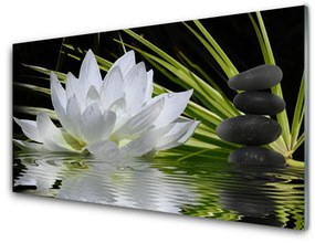 Skleneny obraz Kvety kamene zen voda 125x50 cm