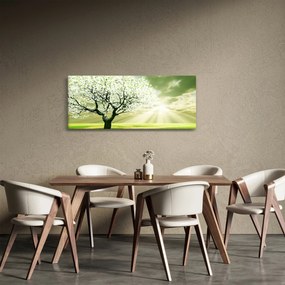 Obraz stromu na lúke (120x50 cm)