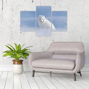 Obraz - Polárna líška (90x60 cm)