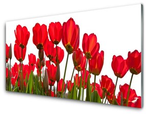 Obraz na skle Kvety 120x60 cm