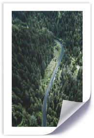 Gario Plagát Cesta v lese Farba rámu: Bez rámu, Veľkosť: 40 x 60 cm