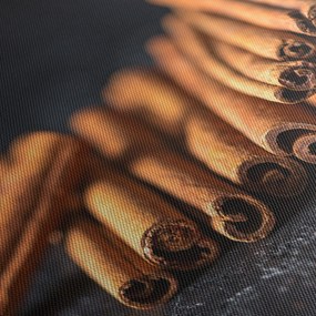 Obraz škorice (120x50 cm)