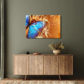 Obraz - Modrý motýľ (90x60 cm)