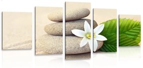 5-dielny obraz biely kvet a kamene v piesku - 200x100