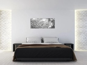 Obraz - Béžová soft grass N⁰1 (120x50 cm)