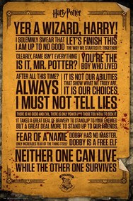 Plagát, Obraz - Harry Potter - Quotes, (61 x 91.5 cm)