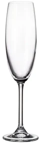 Crystalite Bohemia VÝPREDAJ Crystal Bohemia Poháre na sekt COLIBRI 220 ml