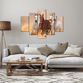 Obraz - Stádo koní (150x105 cm)