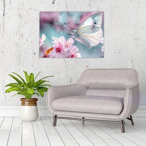 Obraz - Motýľ na čerešni (70x50 cm)