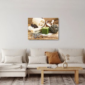Sklenený obraz - Chvíľa na relax (70x50 cm)