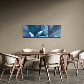 Obraz - Agáve (s hodinami) (90x30 cm)