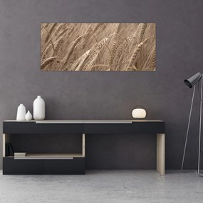 Obraz - Zlaté pole (120x50 cm)