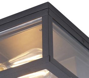 Priemyselné stropné svietidlo čierne IP44 2-žiarovkové - Charlois